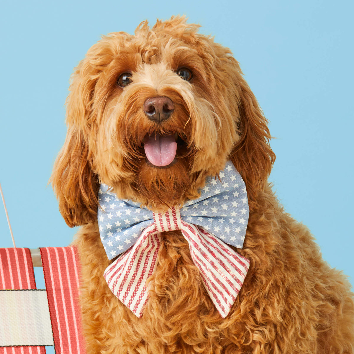 Lady Dog Bow Stars & Stripes