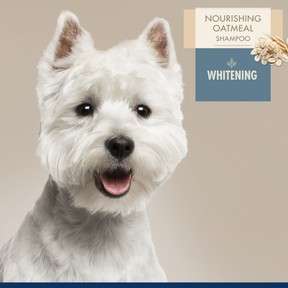 Professional Series Nourishing Oatmeal - Dog Whitening Shampoo 16 oz.