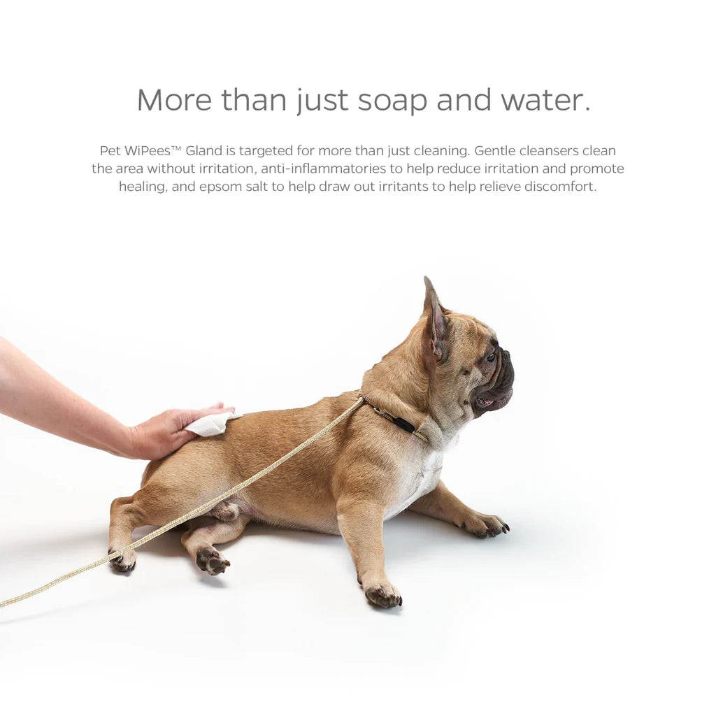 Pet Parents - Pet WiPees Gland Wipes for Dogs & Cats
