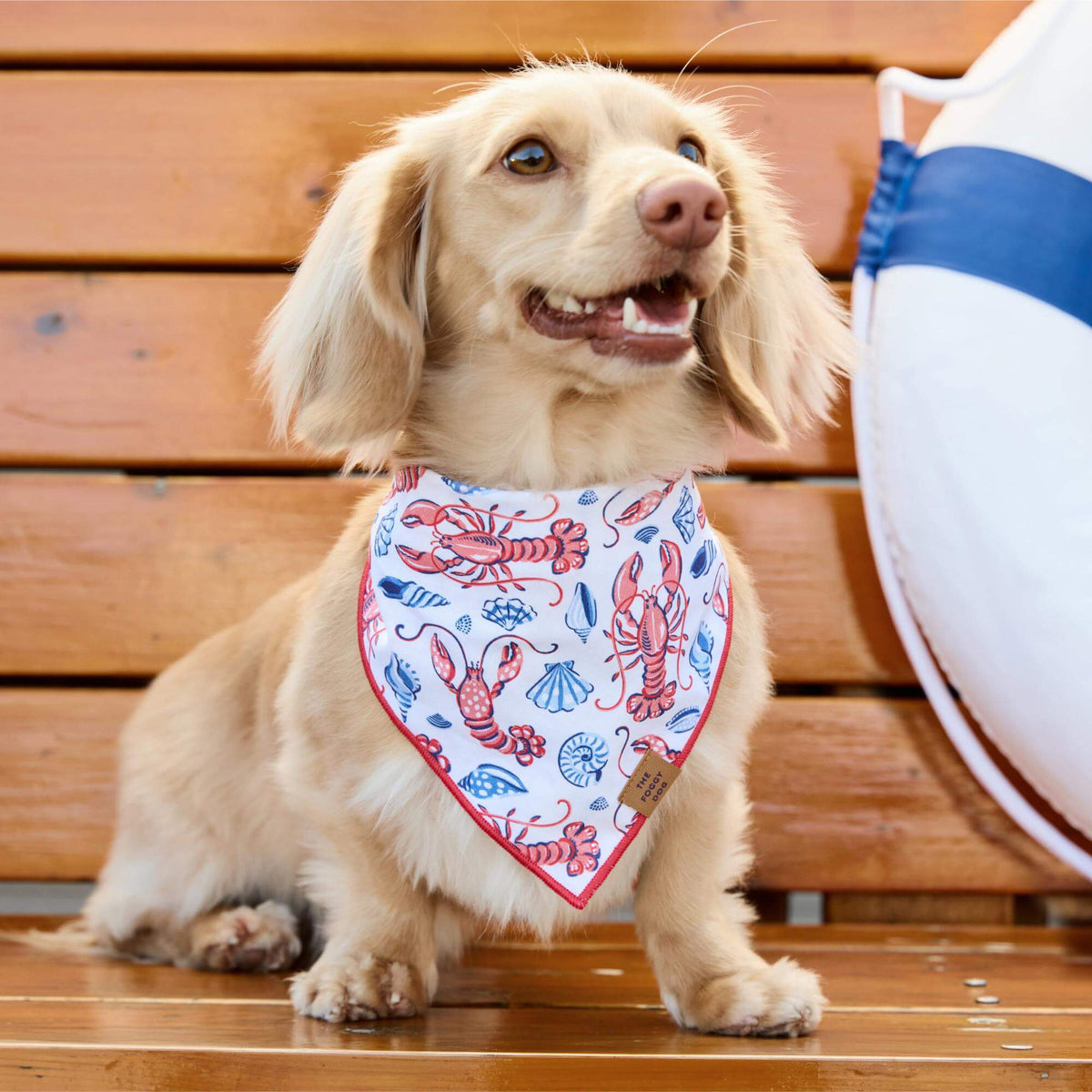 The Foggy Dog - Bandana Dog Printfresh X TFD Lobster Landing