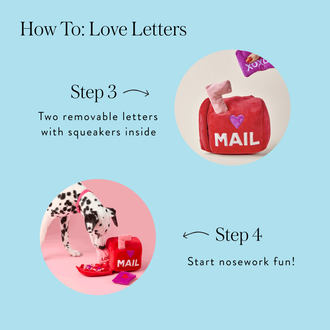 Foggy Dog - Dog Toy Love Letters - Southern Agriculture 