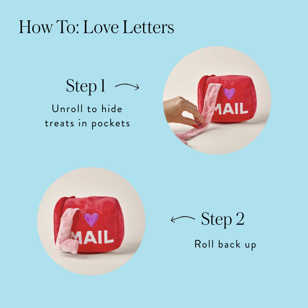 Foggy Dog - Dog Toy Love Letters - Southern Agriculture 