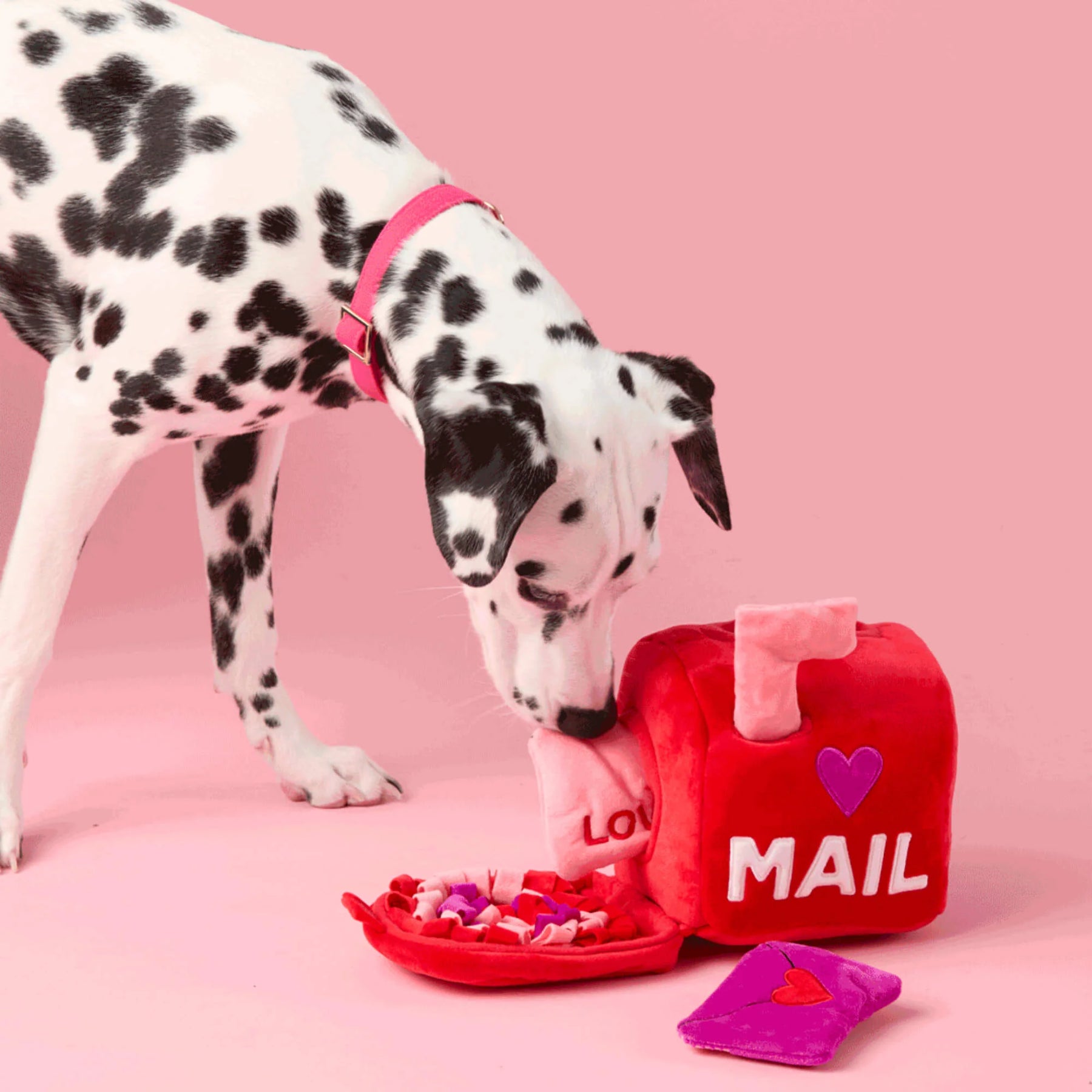 Foggy Dog - Dog Toy Love Letters - Southern Agriculture 