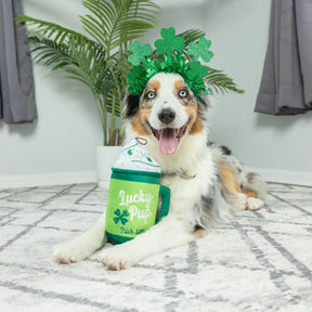 Huxley & Kent - Lucky Pup irish Latte for Dogs