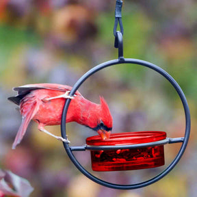 Couronne Co - Bird Feeder Basic Mosaic Birds