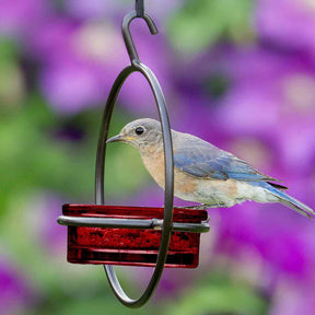 Couronne Co - Bird Feeder Basic Mosaic Birds