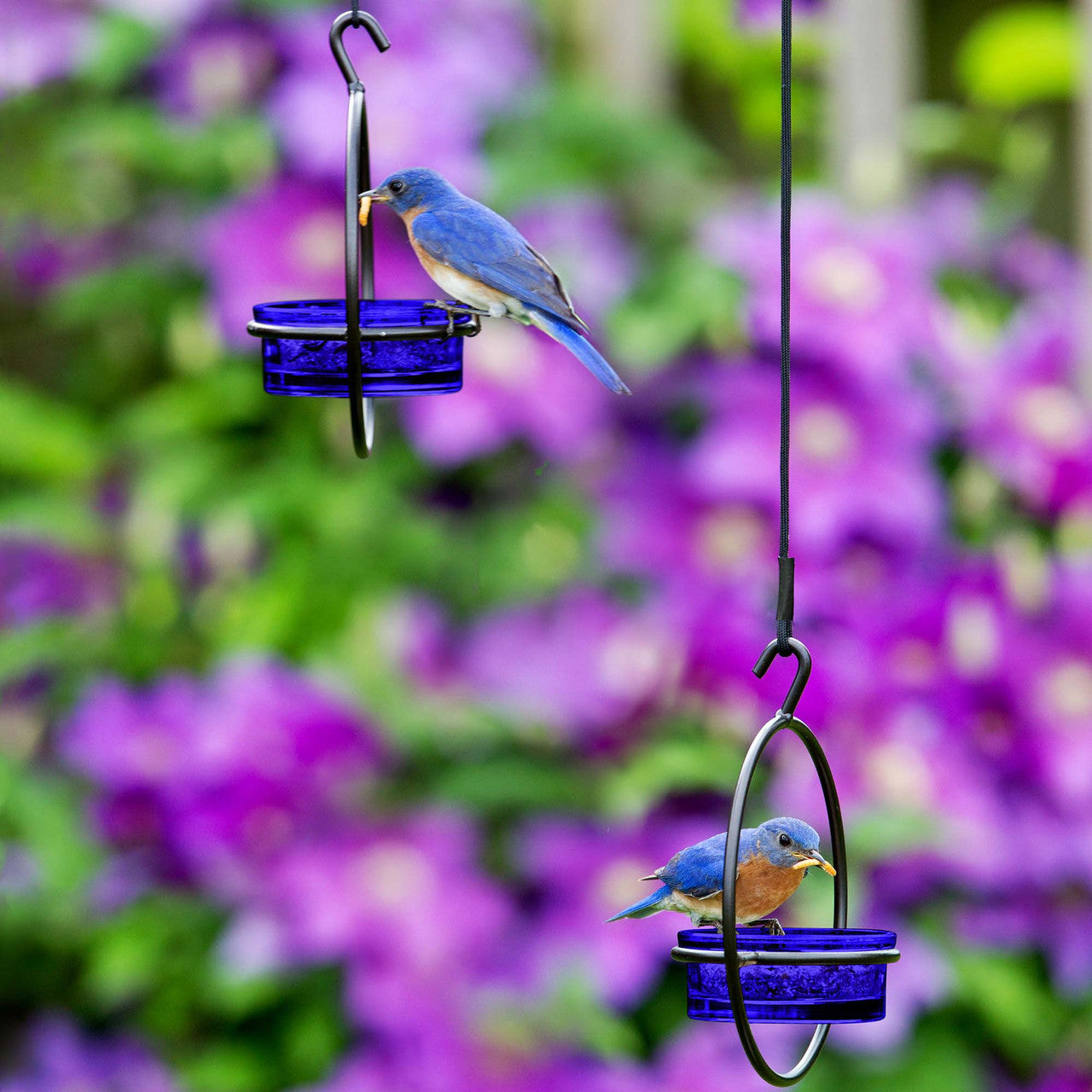 Couronne Co - Bird Feeder Basic Mosaic Birds