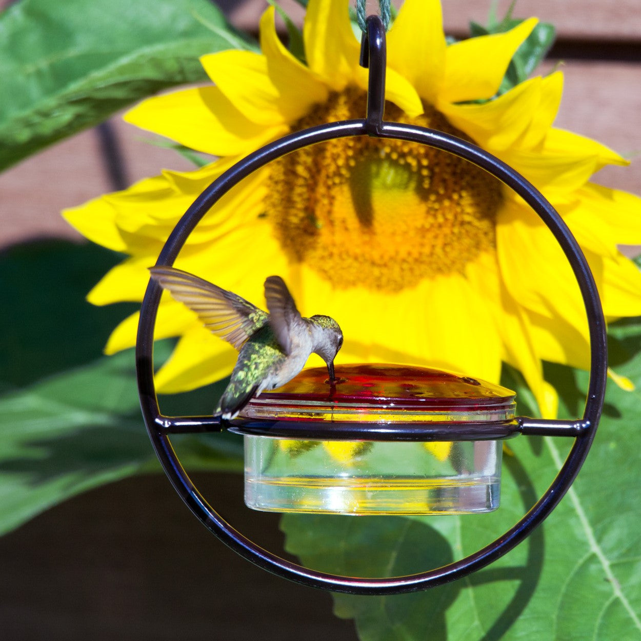 Couronne Co - Hummingbird Feeder Slim Mosaic