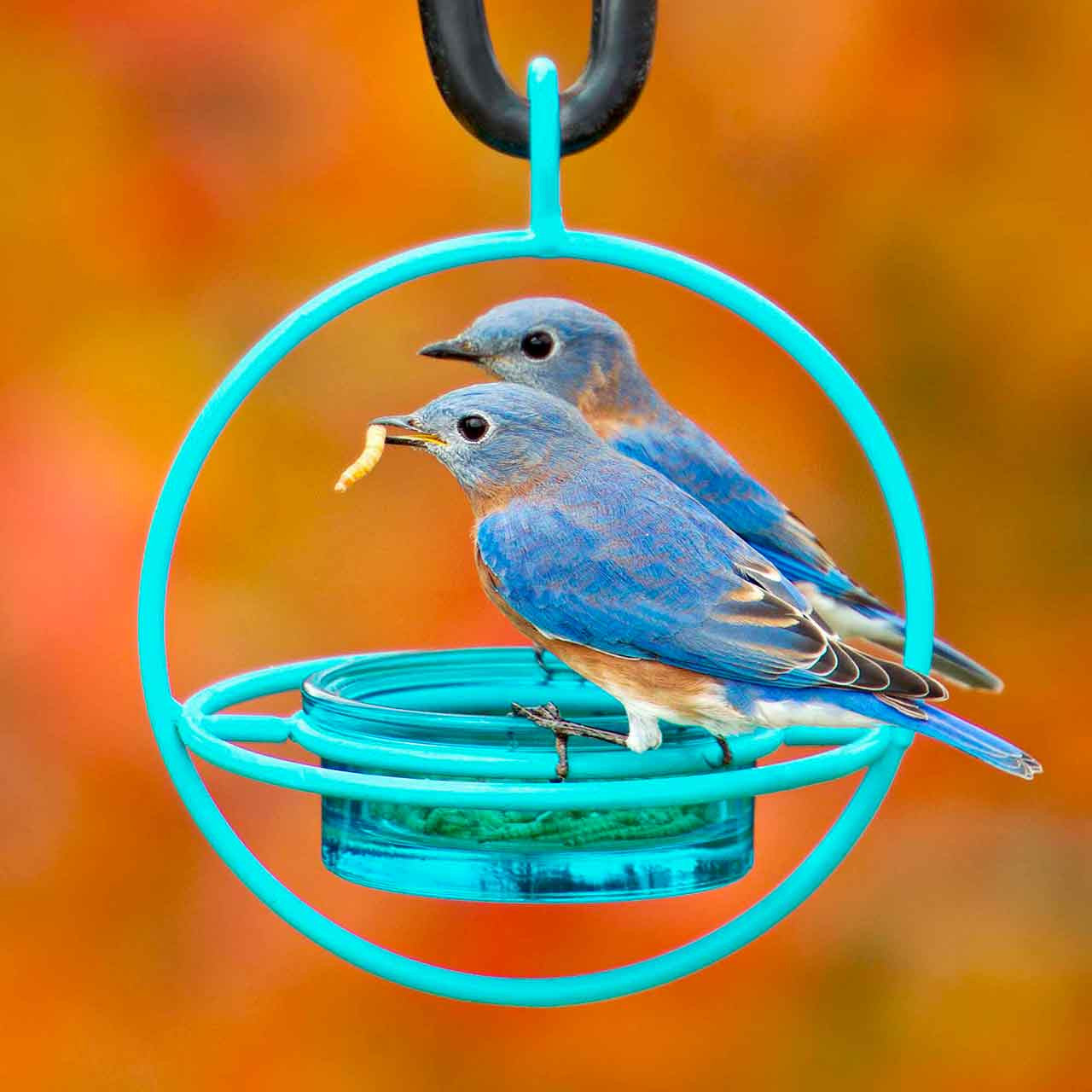 Couronne Co - Bird Feeder Bold Mosaic Birds