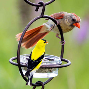 Couronne Co - Bird Feeder Bold Mosaic Birds