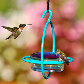 Couronne Co - Hummingbird Feeder Bold Mosaic Bird