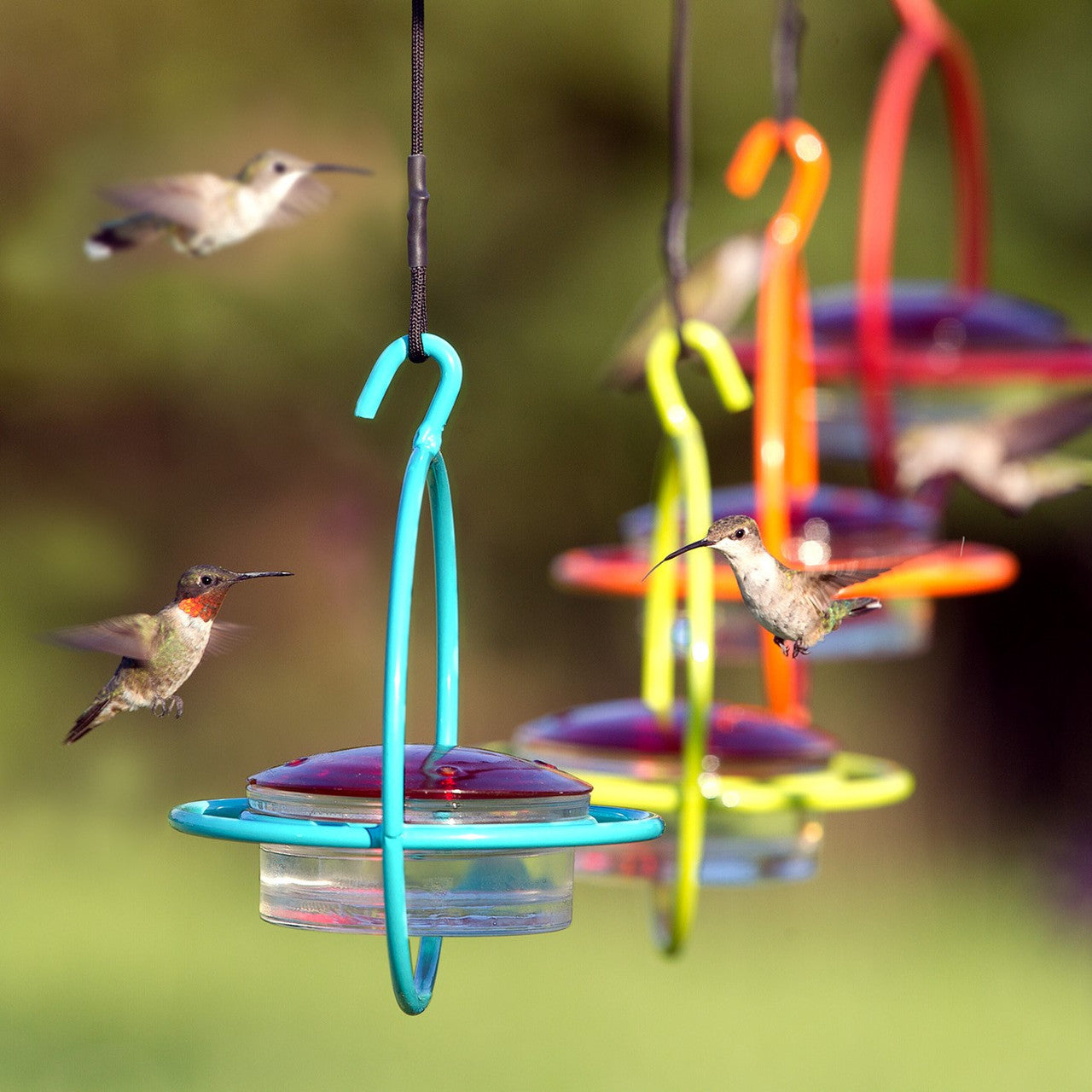 Couronne Co - Hummingbird Feeder Bold Mosaic Bird