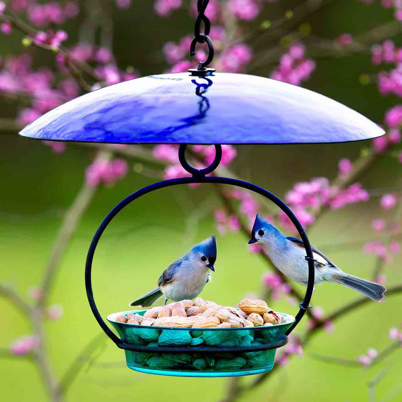 Couronne Co - Mosiac Birds Bird Feeder or Bath