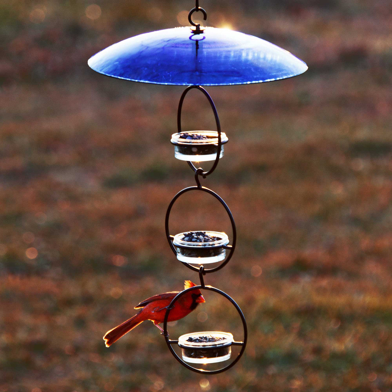Couronne Co - Bird Feeder Basic Mosaic Birds