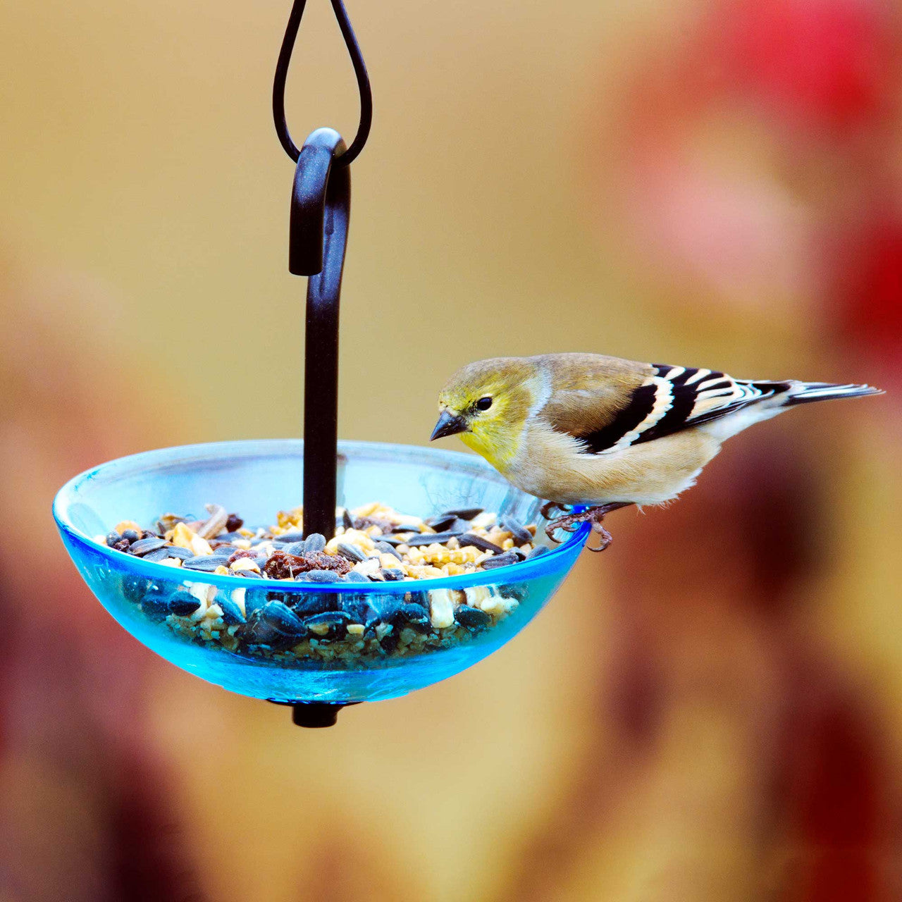 Couronne Co - Bird Feeder Mosiac Birds Single Hanging Poppy
