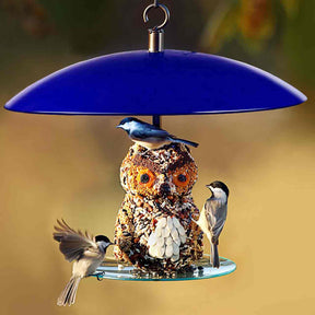 Couronne Co - Bird Feeder Mosiac Birds 360 Degree Seed Cylinder