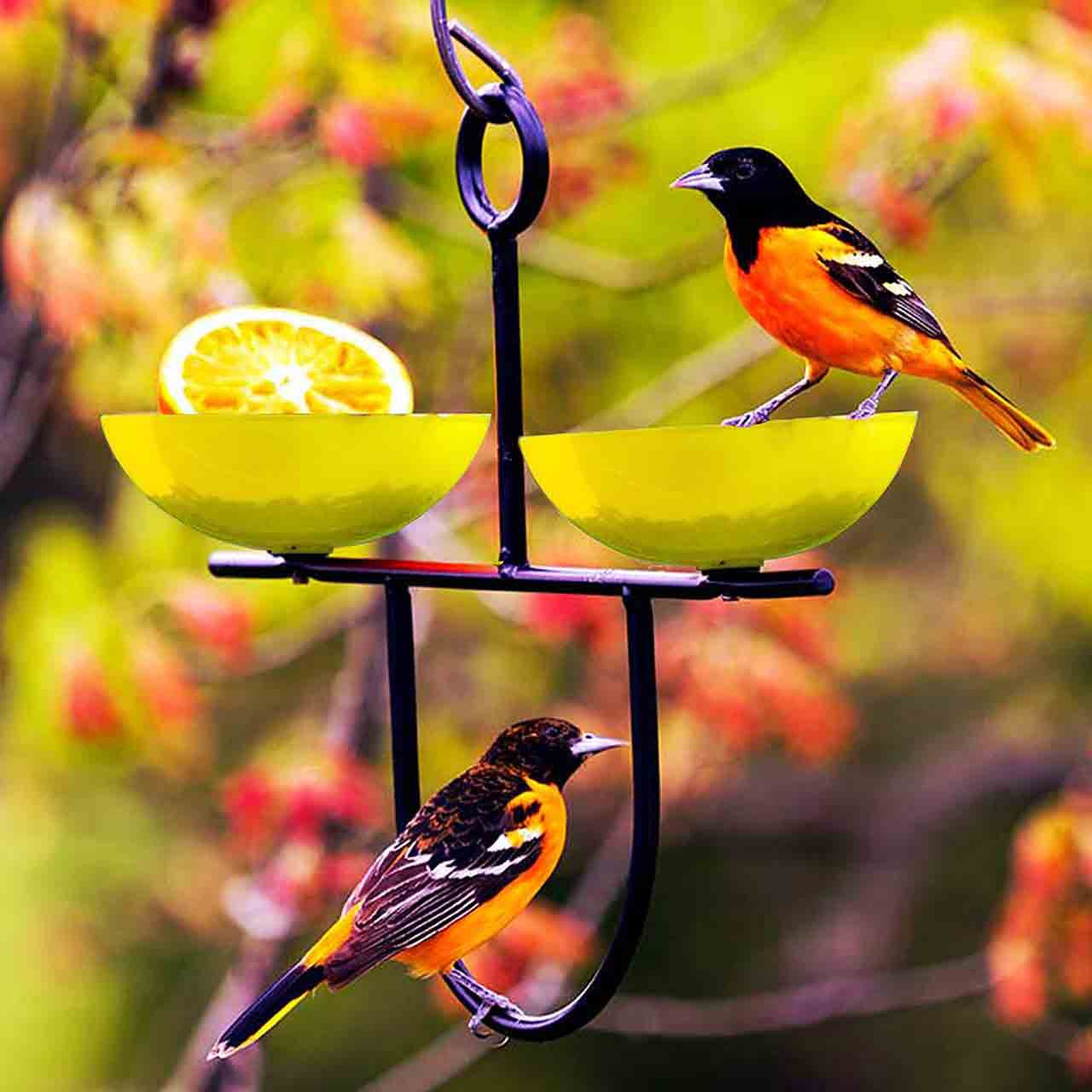Couronne Co - Bird Feeder Side By Side