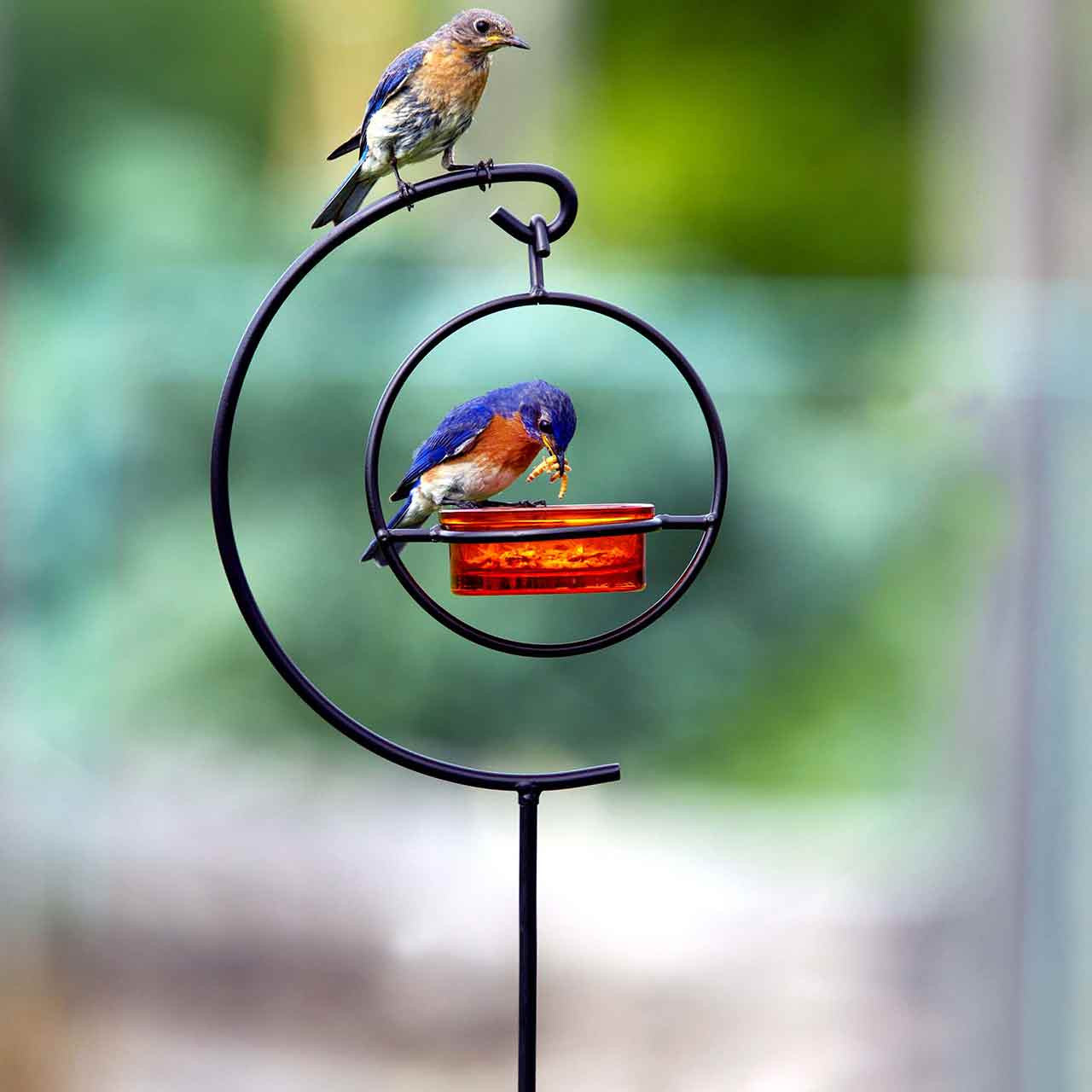Couronne Co - Mosaic Birds Hummble Garden Stake