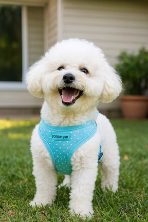 Parisian Pet - Freedom Harness Blue Polka Dots