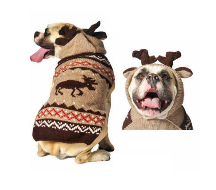 Chilly Dog -  Dog Hoodie Moosey