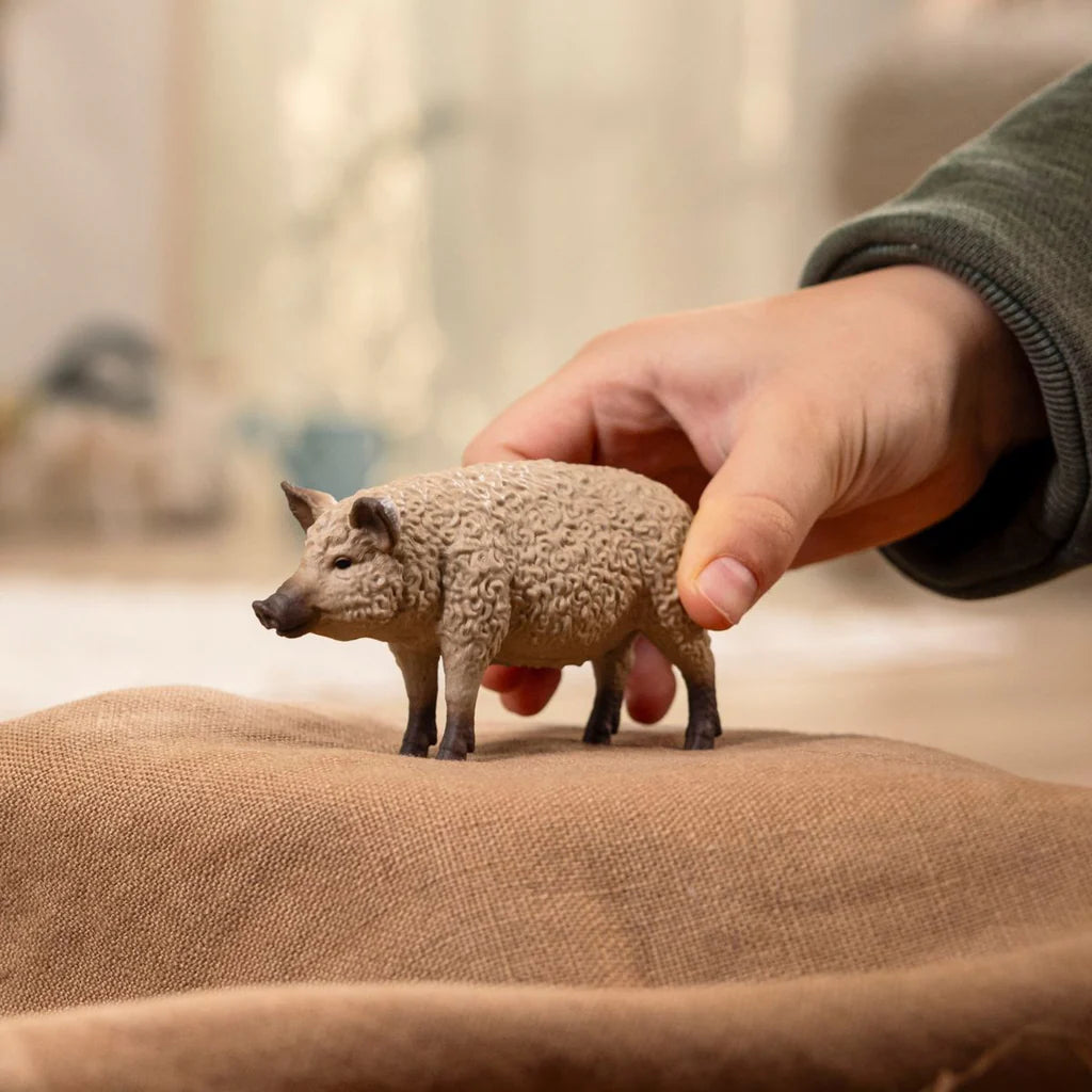 Schleich - Mangalica Pig