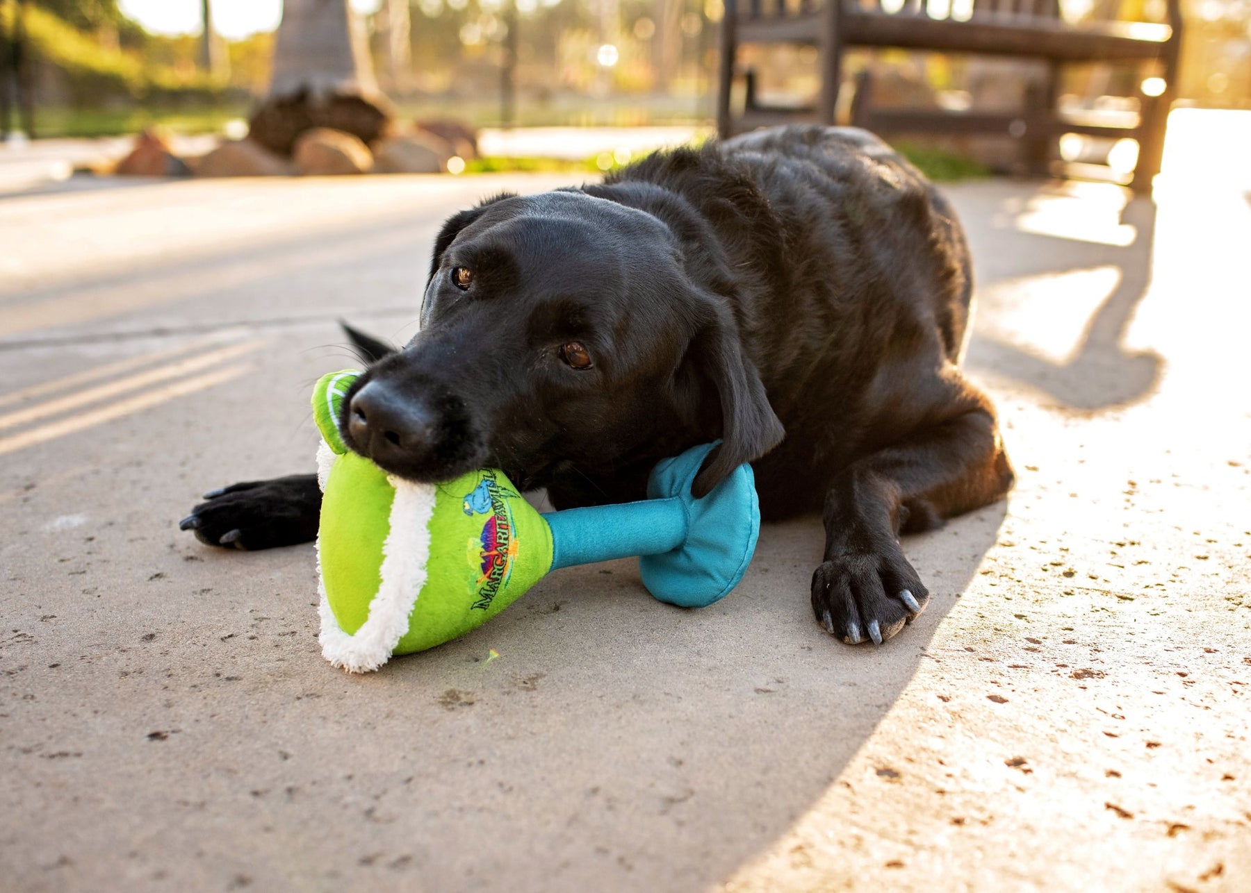 Multipet - Margaritaville Margarita Glass Dog Toy