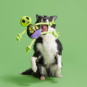 BARK - Moldy Barry Bones Skeleton