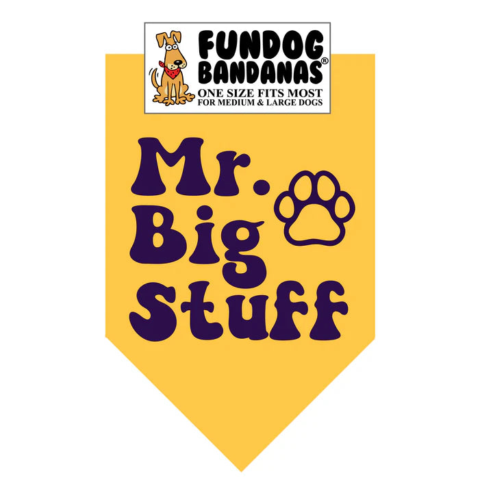 FunDog Bandanas - Dog Bandana Mr. Big Stuff