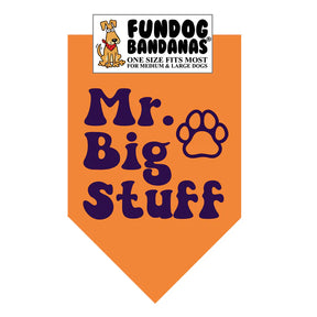 FunDog Bandanas - Dog Bandana Mr. Big Stuff