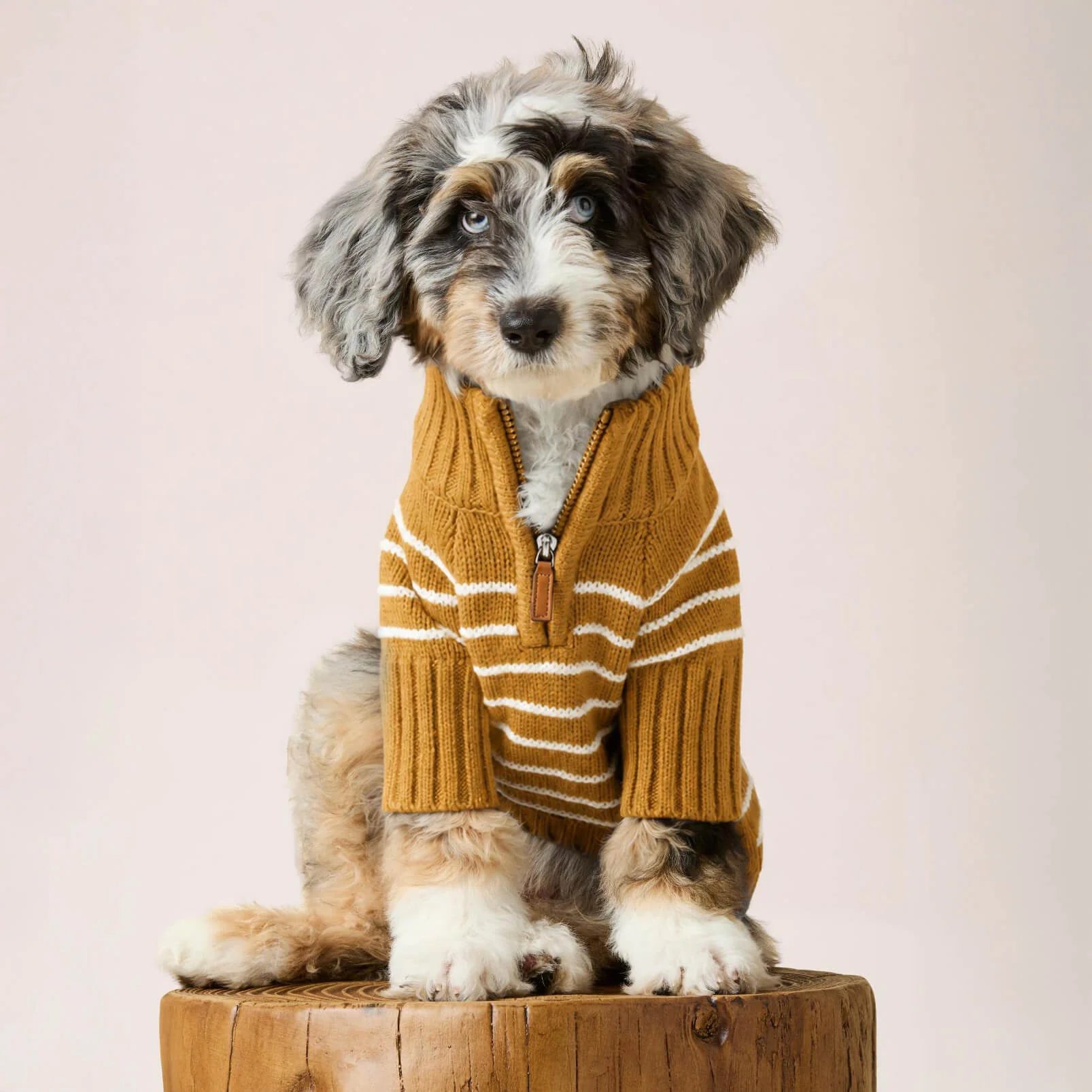 The Foggy Dog - Dog Sweater Mustard Stripe