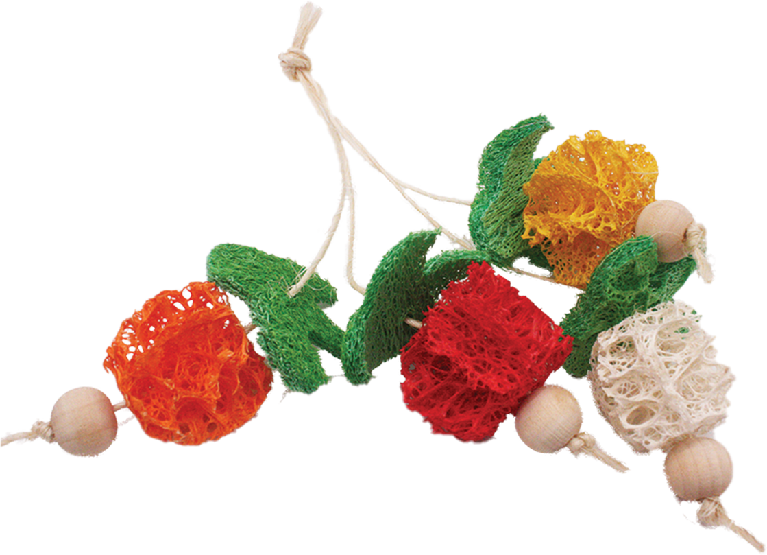 A & E Cage Company - Nibbles Small Animal Loofah Chew Toy, Bunch of Fruits