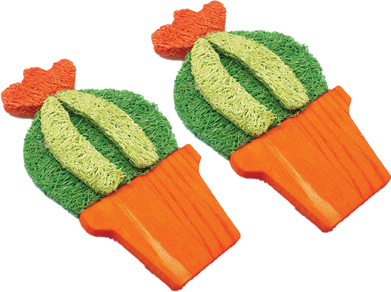 A & E Cage Company - Nibbles Small Animal Loofah Chew Toy, Barrel Cactus