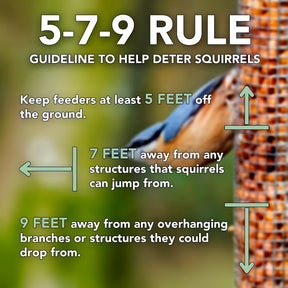 Best Nest - Bird Feeder Acorn Mesh