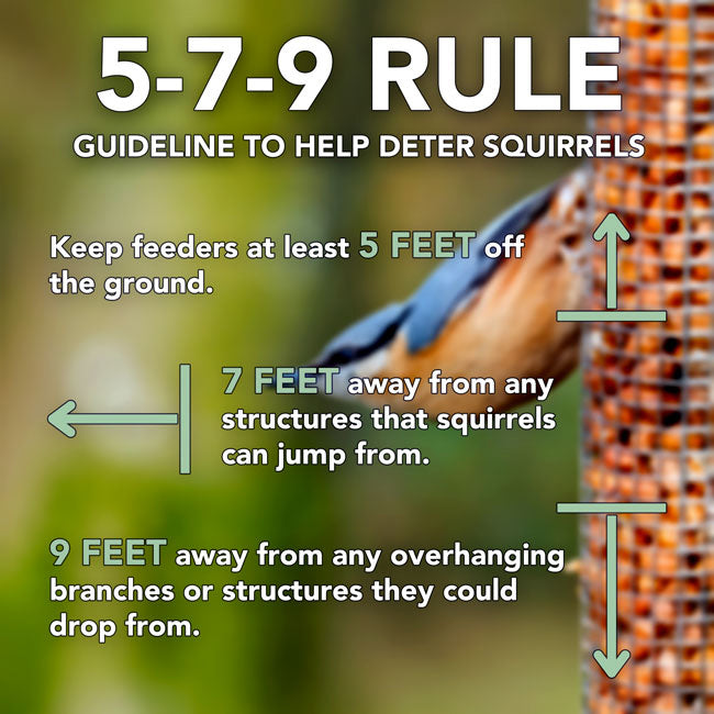 Best Nest - Bird Feeder Acorn Mesh