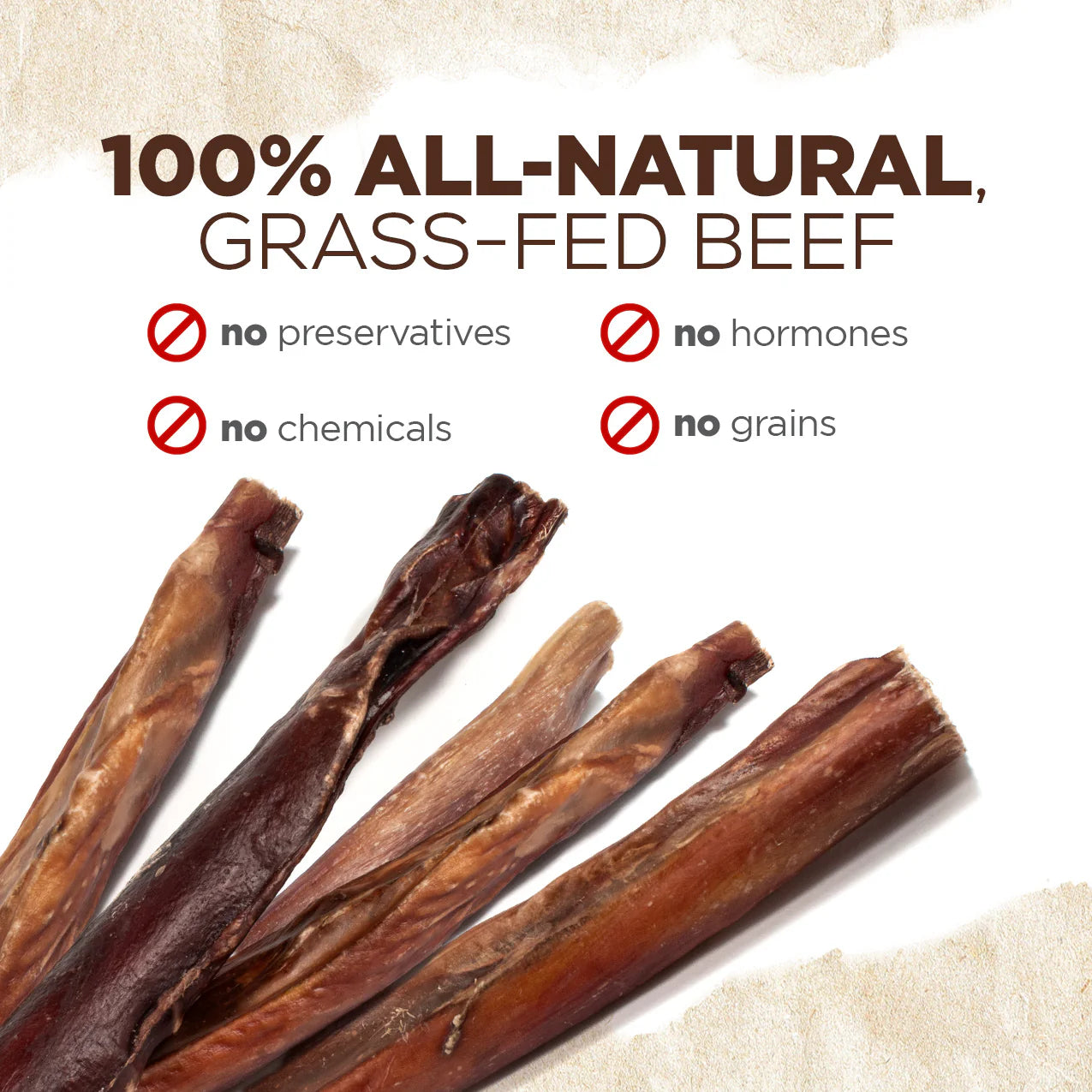 thumbnail image 2 of Natural Farm Odor-Free Bully Sticks (12 8oz) All-Natural Long-Lasting Chews 100% Beef Pizzle Grass-Fed Grain-Free Hormone-Free P 2 of 14