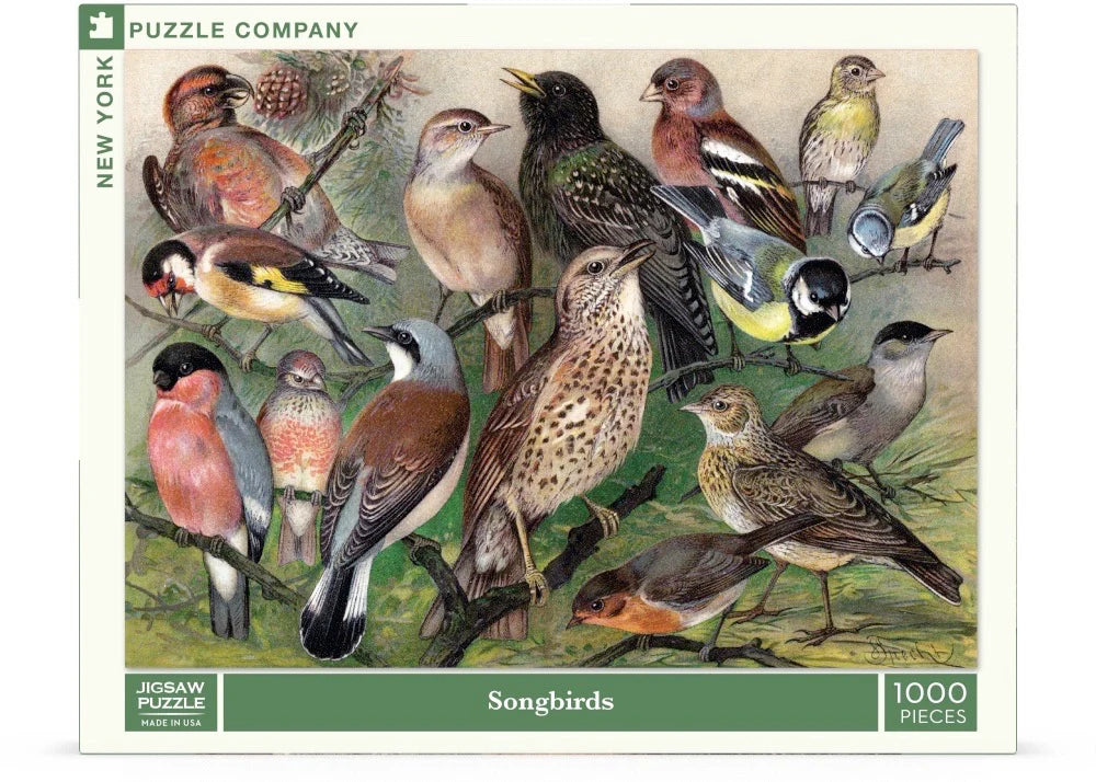 New York Puzzle Co. - Songbirds