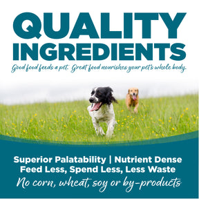 NutriSource - All Breeds, Adult Dog Chicken & Rice Recipe Dry Dog Food