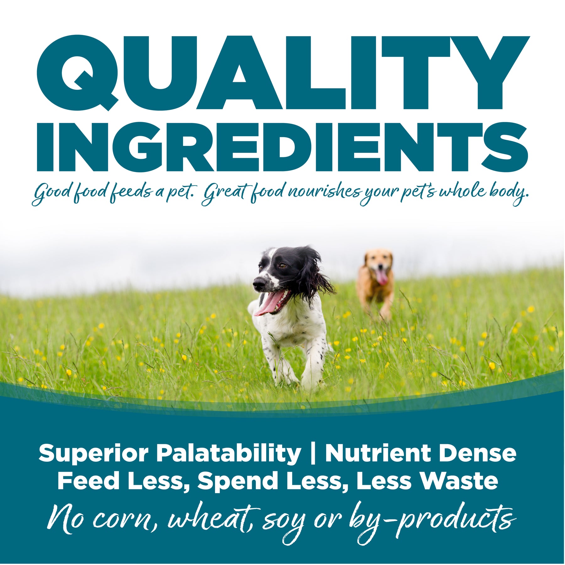 NutriSource - Chicken & Rice All Life Stages Dog Food Can