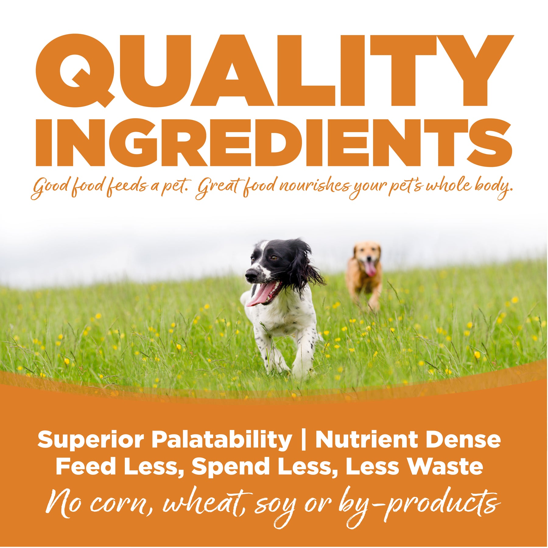 NutriSource - Lamb & Rice All Life Stages Dog Food Can