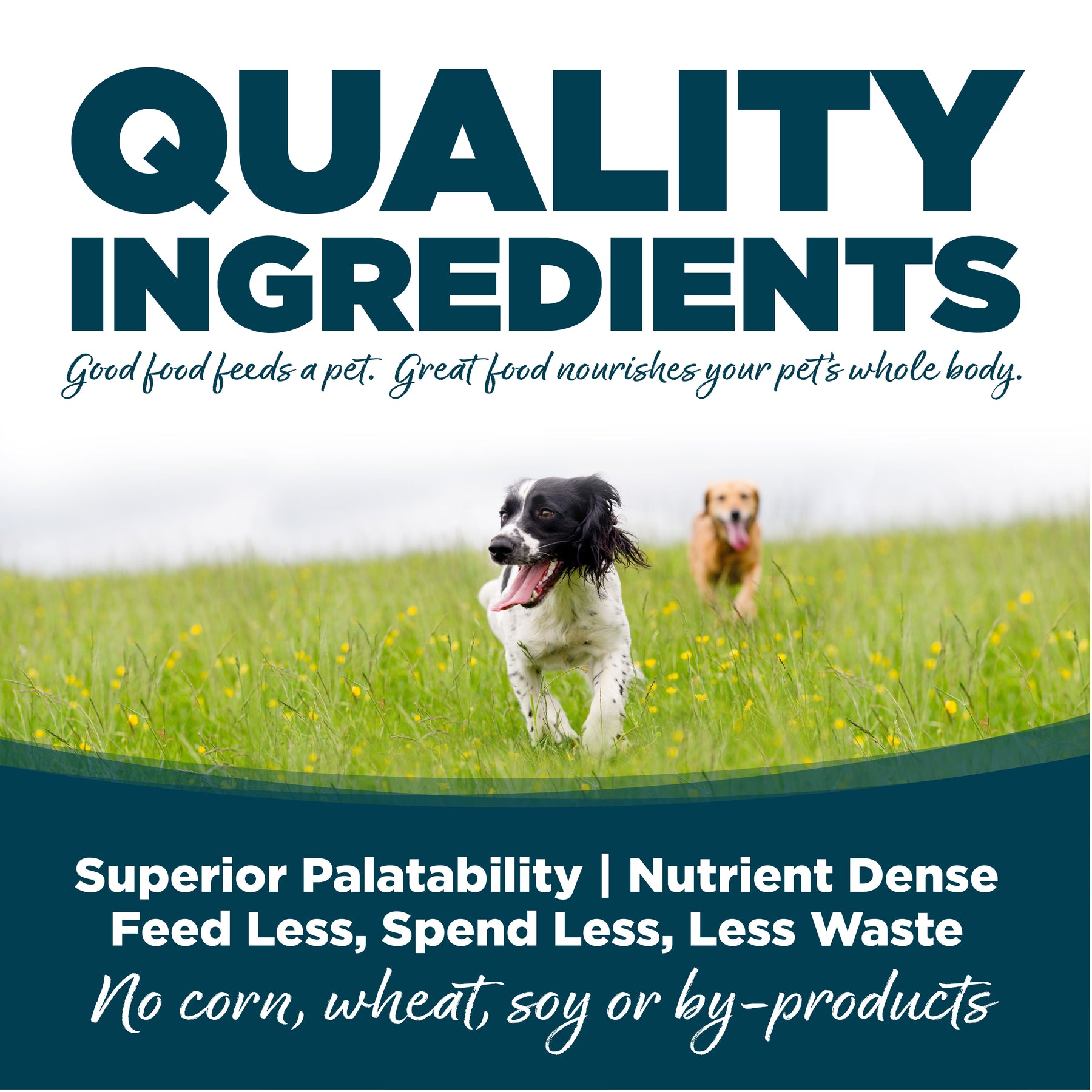 NutriSource - All Breeds, Adult Dog Chicken & Rice Small Bites Recipe