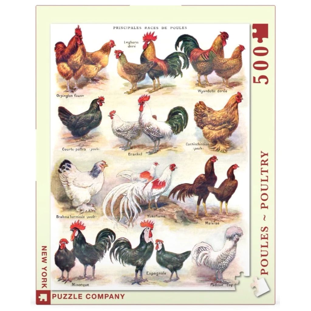 New York Puzzle Co. - Poules ~ Poultry