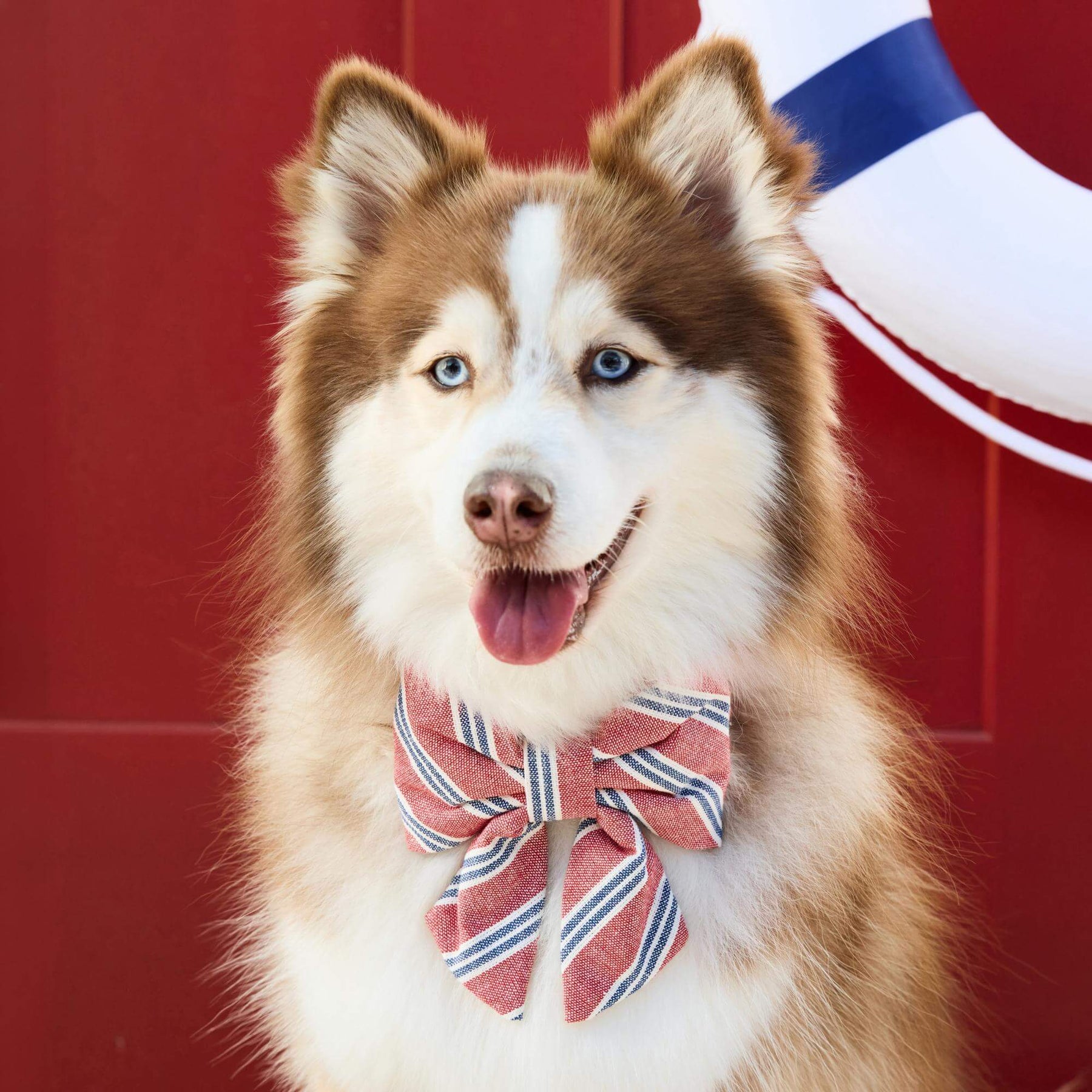 The Foggy Dog - Bow Tie Lady Nantucket Stripe