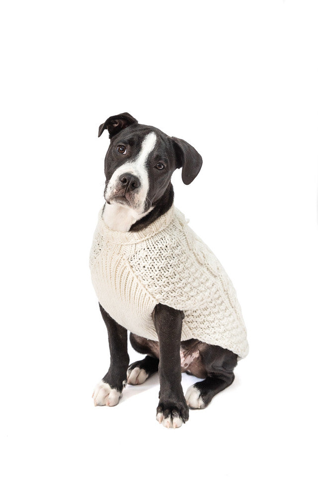 Dog Sweater Natural Cable Knit