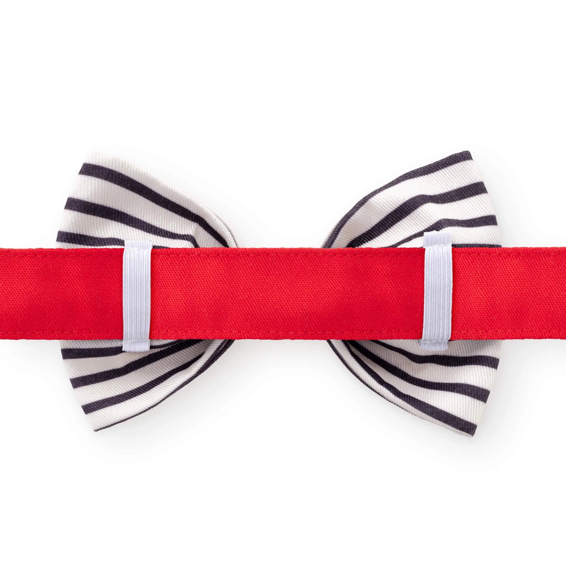 The Foggy Dog - Bow Tie Anchor Embroidered