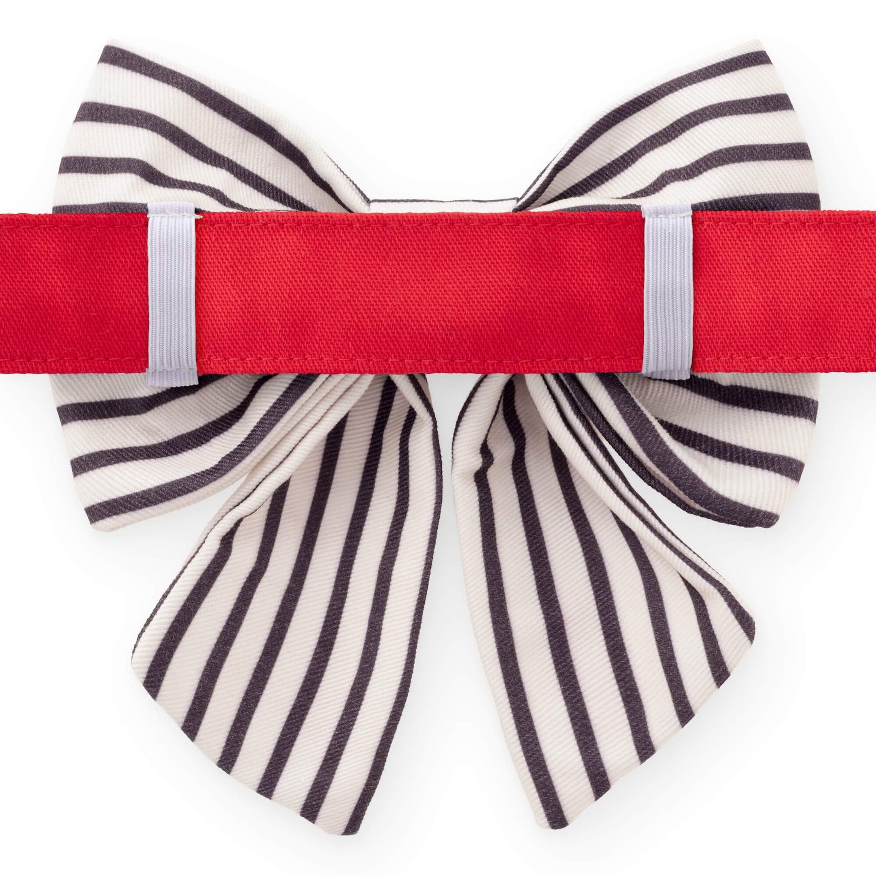 The Foggy Dog - Bow Tie Lady Anchor Embroidered