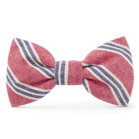 The Foggy Dog - Bow Tie Nantucket Stripe