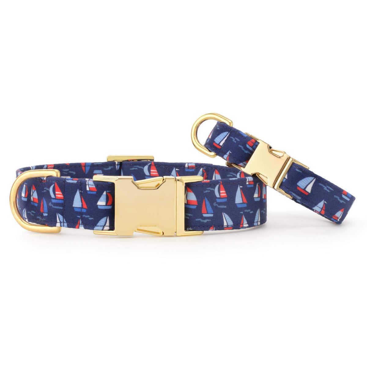 The Foggy Dog - Dog Collar Regatta