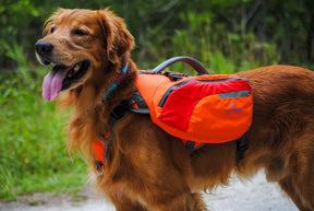 Bark Brite - Backpack Life Jacket
