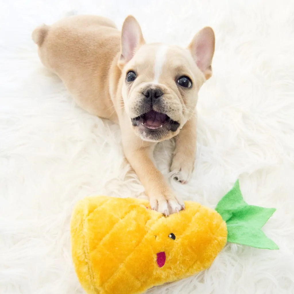 ZippyPaws - NomNomz Pineapple Dog Toy