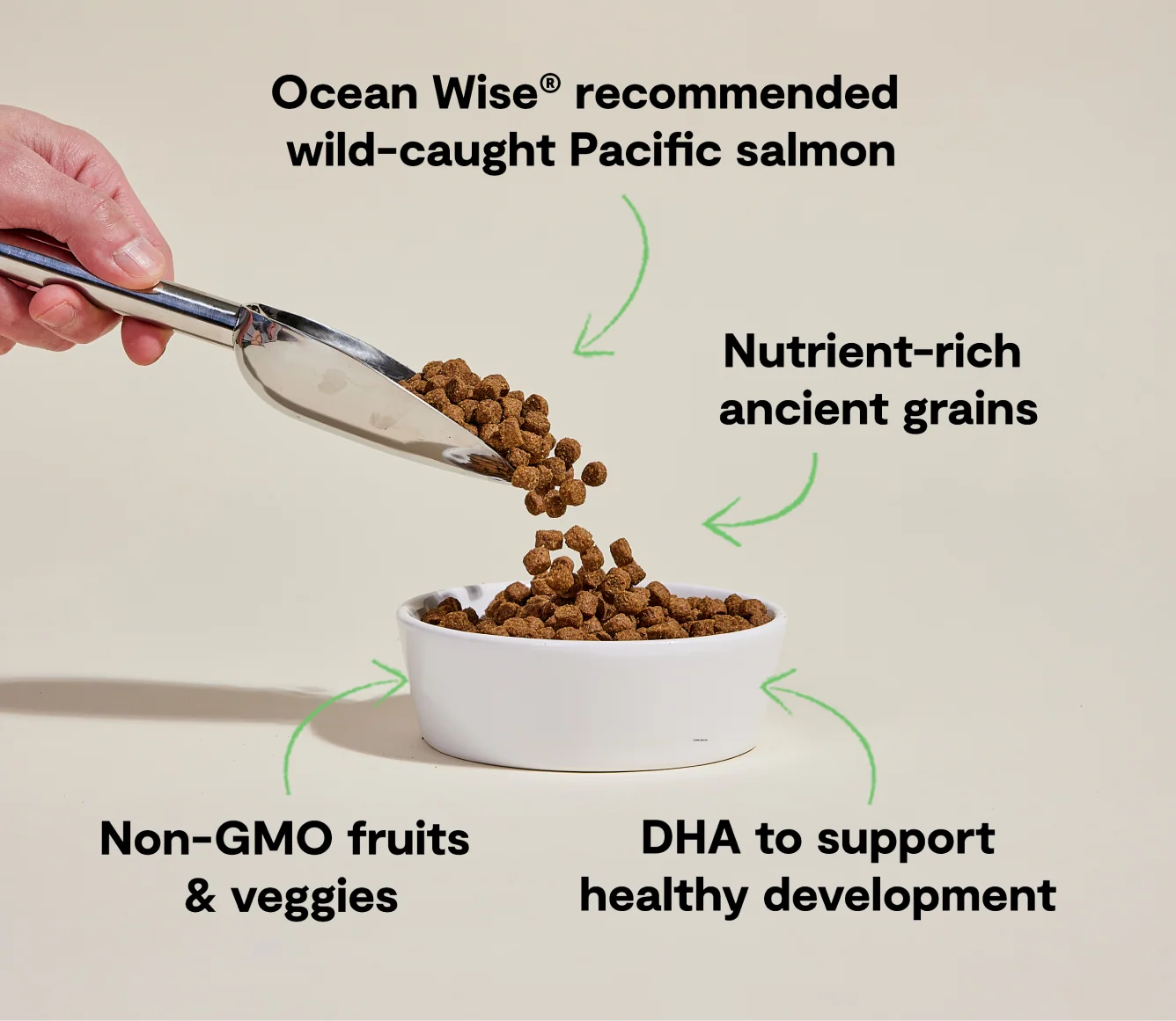 Open Farm - Puppy Salmon Ancient Grains Dry Dog Food